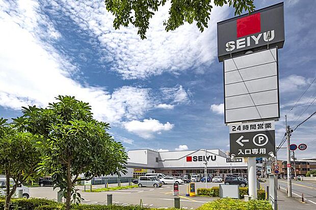 西友 所沢榎町店(約950m・徒歩12分)