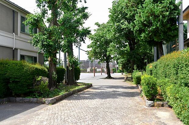 深大寺公園（約350m・徒歩5分）