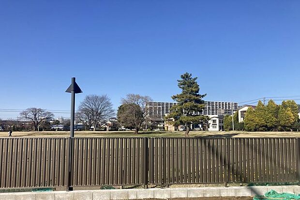 【No.8_隣地風景(撮影_2026年3月)】北側には相模国分寺跡が隣接しており、開放的な芝生広場が広がります。