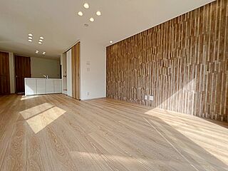 Luxsis 中井 Vol.7 その他