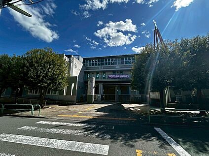 八幡山小学校 約800ｍ( 徒歩10分)