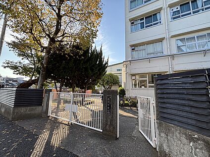 北沢中学校 約560m(徒歩7分)