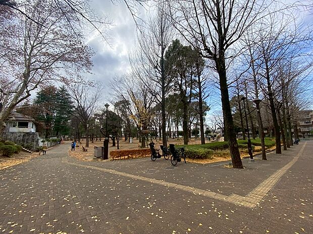 都立城北中央公園