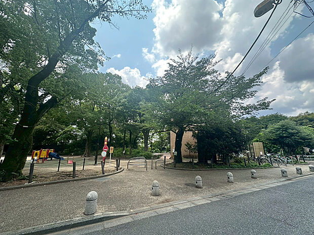 天沼弁天池公園（約560m）