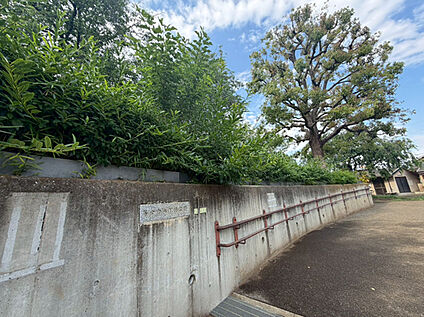 等々力八丁目公園 約160m(徒歩2分)