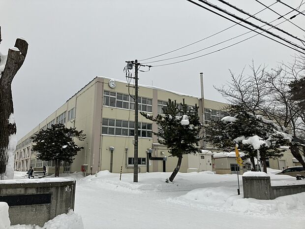 札幌市立大平小学校(約950m)