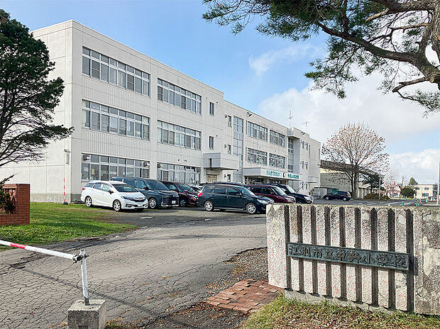 中央小学校（約600m）