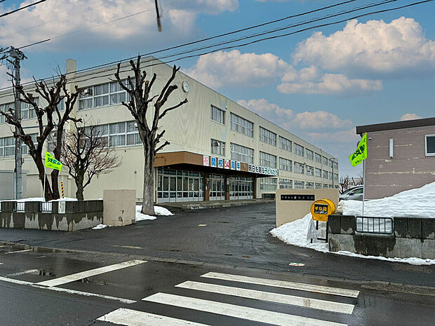 栄南小学校（約500m）