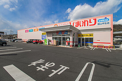 ひまわり福山坪生店 約500m(徒歩6分)