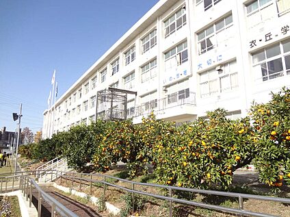 衣丘小学校 約390～400m(徒歩5分)