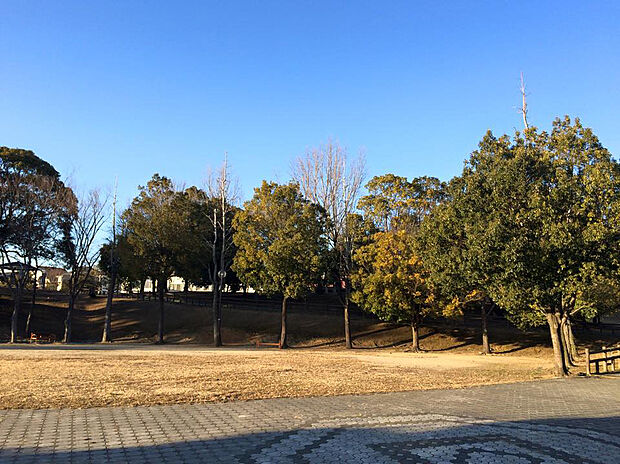 戸崎公園