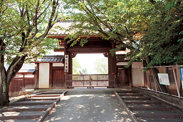 白鳩保育園
