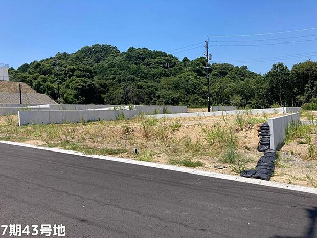 7期43号地