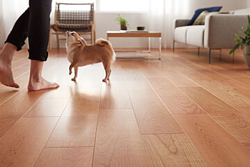 ポラスの分譲住宅 フォレストレ東大宮-たいせつな家族と- その他