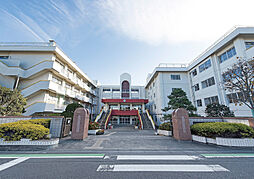 埼玉県さいたま市緑区大字大間木字附島1832-7