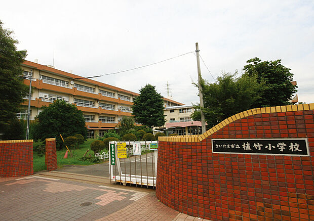 植竹小学校