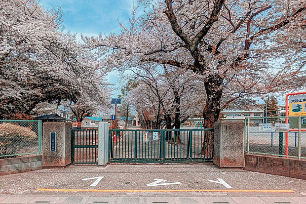 大砂土東小学校（現地より徒歩14分）
