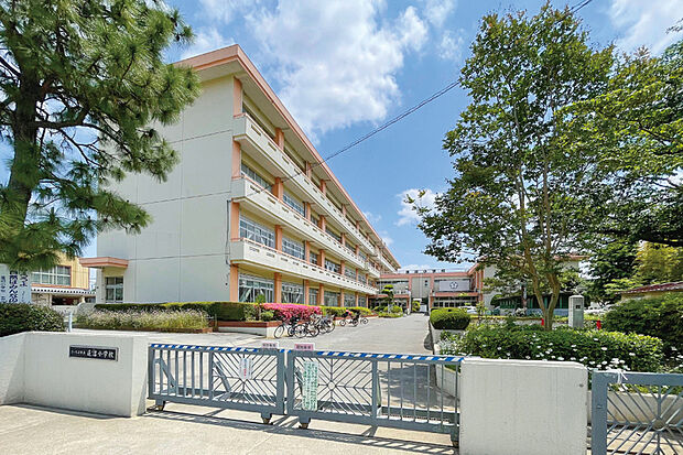 蓮沼小学校(現地より徒歩9分)