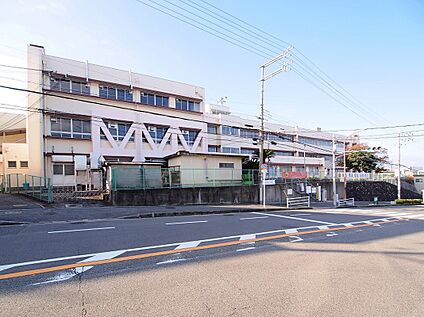 和泉市立信太小学校 約850m(徒歩11分)