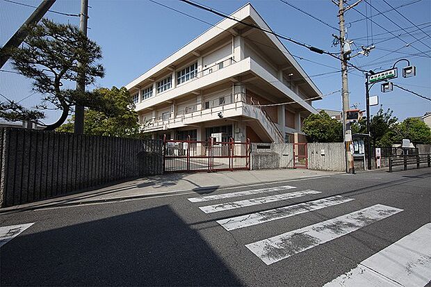 高石市立東羽衣小学校