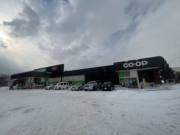 コープさっぽろとんでん店（約1m）