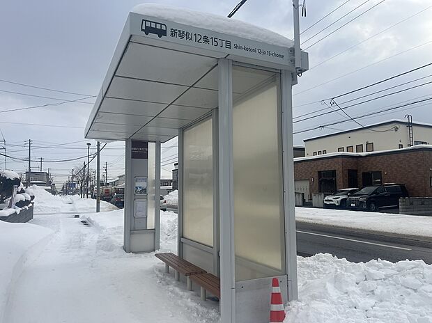 新琴似12条15丁目バス停（約240m）