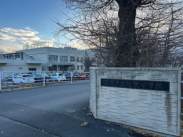 桔梗小学校（約1,200m）