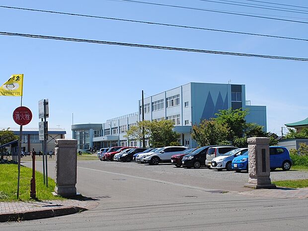 当別町立西当別小学校（約1m）