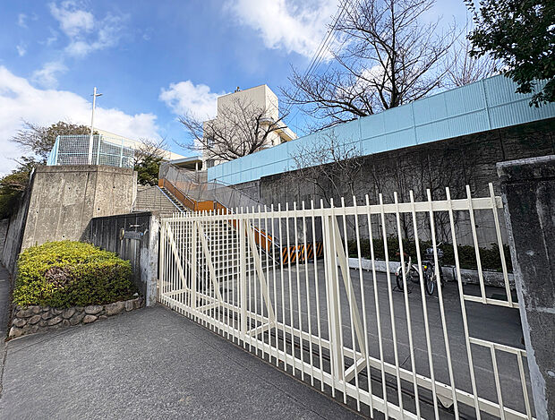 茨木市立沢池小学校(約600m)