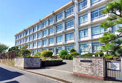 平塚市立金目中学校 現地から1700m～1765m。(徒歩22分～23分。)