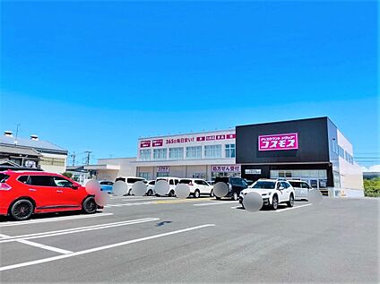 ドラッグコスモス作新台店 1000m