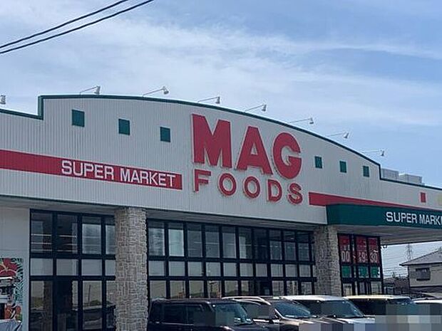マグフーズ中島店（約569m）