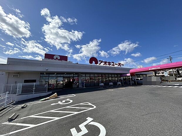 アオキスーパー（約1,130m）