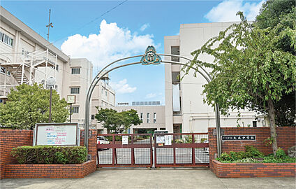 大成中学校 現地から400m。(徒歩5分。)