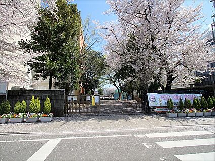 朝霞市立朝霞第六小学校 約850ｍ(徒歩11分)