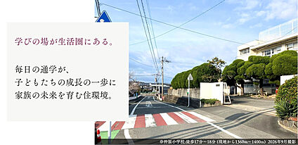 外観・分譲地