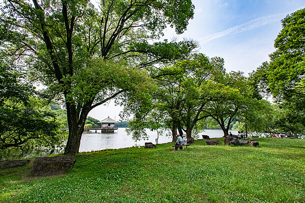 山田池公園（約532m）