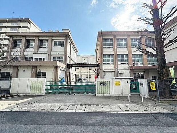 楠中学校