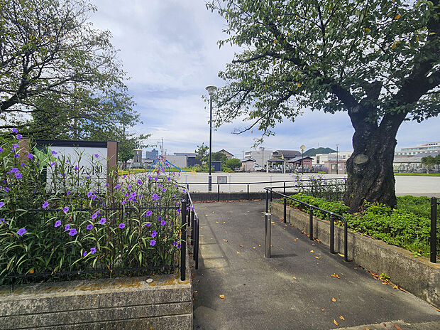 松原公園（約80m）