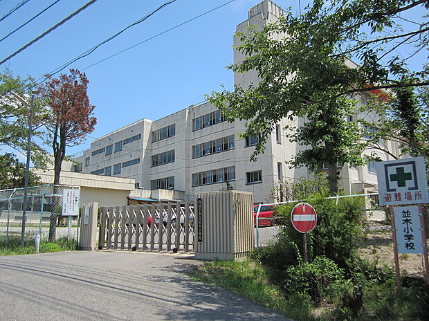 並木小学校　447ｍ