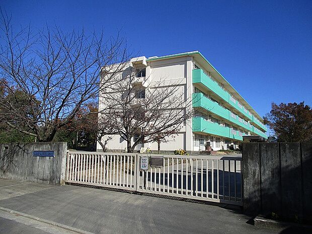 戸頭小学校　703ｍ