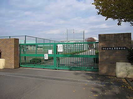 豊里中学校 1200ｍ