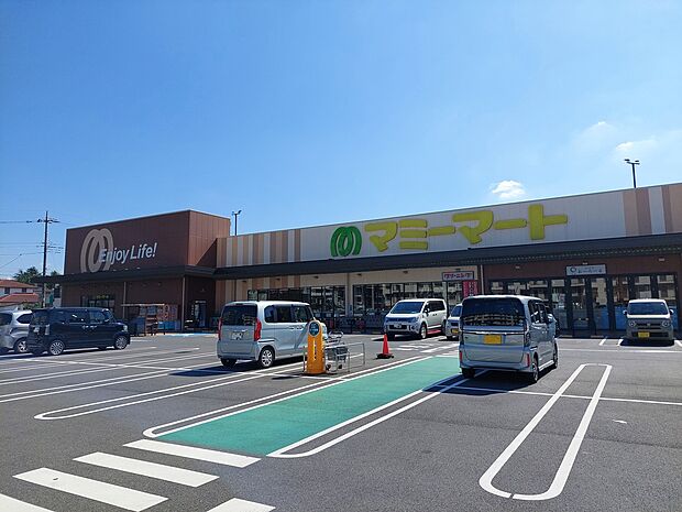 マミーマート(約800m)