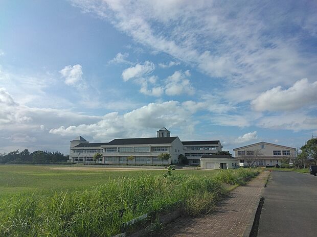 桜が丘小学校（約575m）