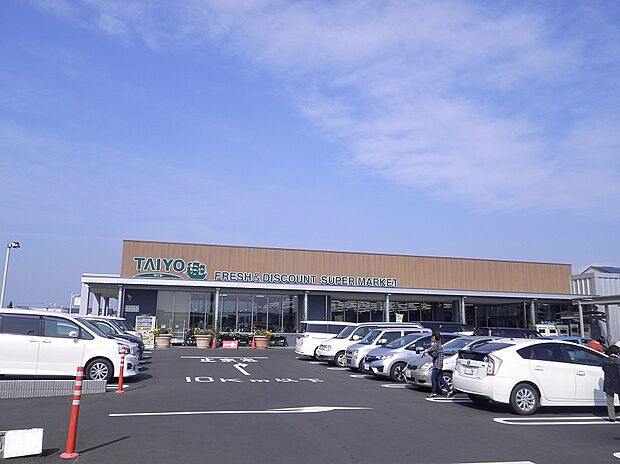 タイヨー（約350m）