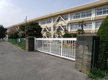 柏第七小学校 2000ｍ