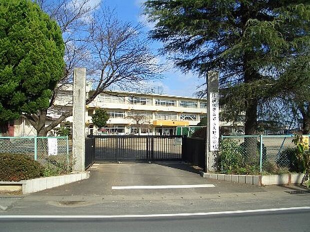 大野小学校(約980m)