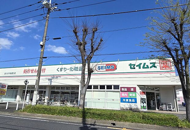 セイムス(約970m)