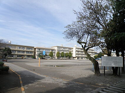 柏第五小学校 385ｍ