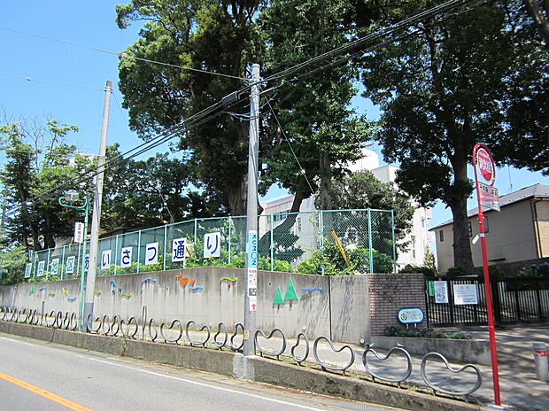 富勢小学校(約7m)